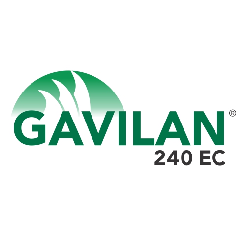 GAVILAN 240 EC