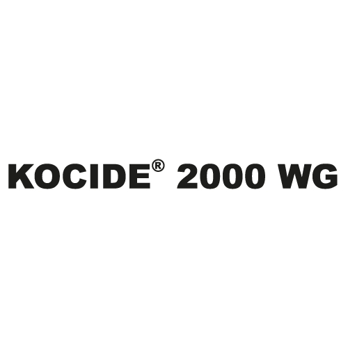 KOCIDE 2000 WG