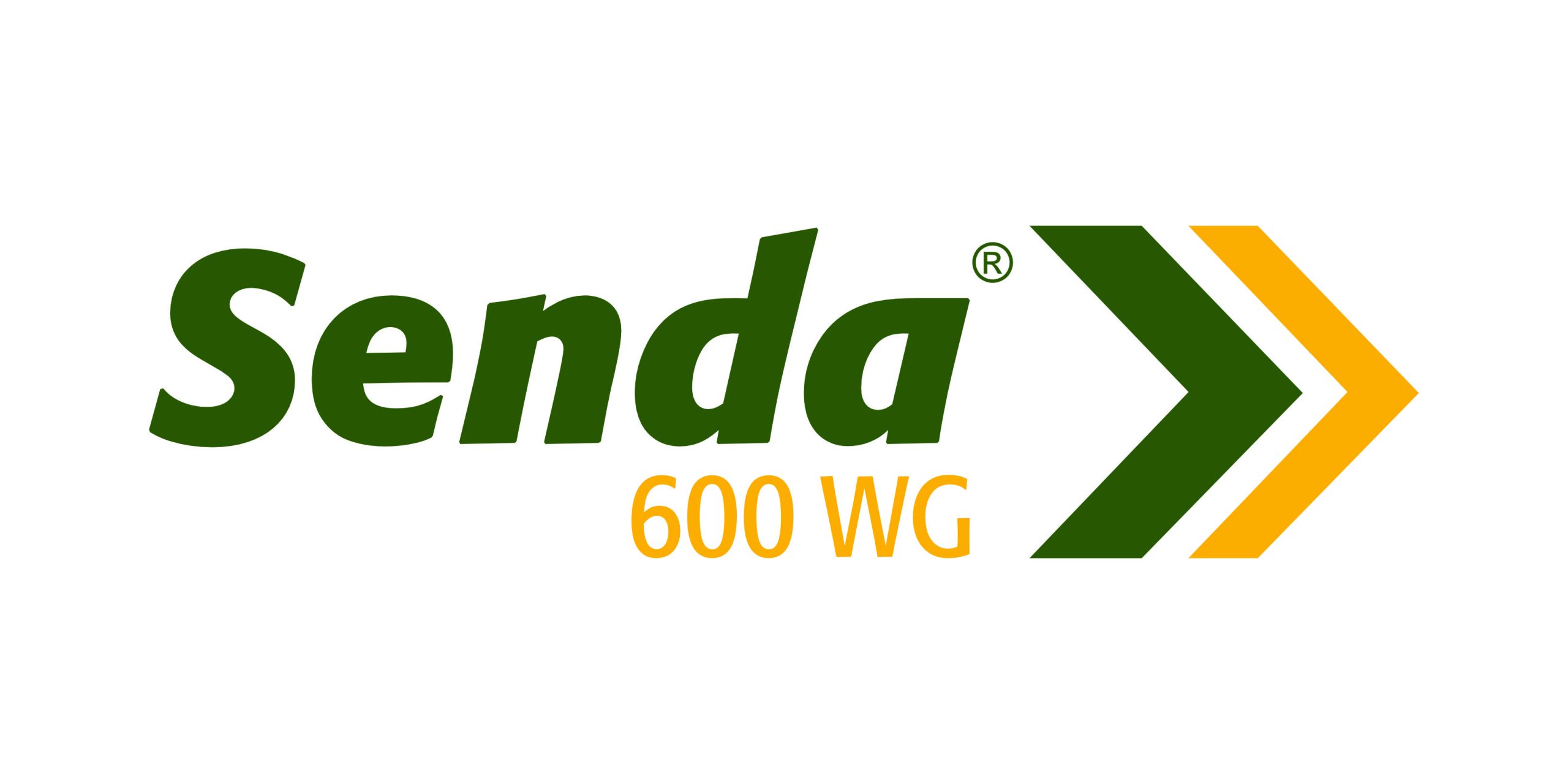 SENDA 600 WG