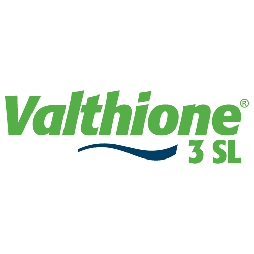 VALTHIONE 3 SL